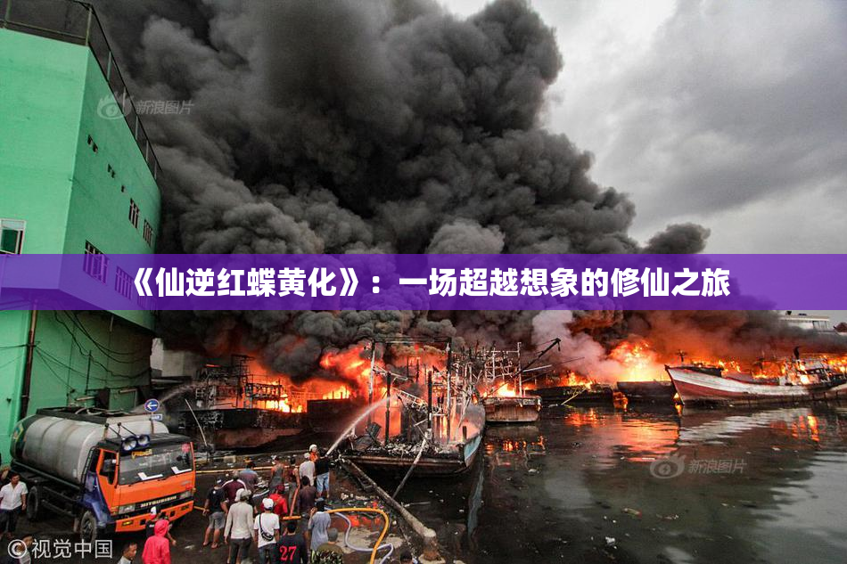 《仙逆红蝶黄化》：一场超越想象的修仙之旅