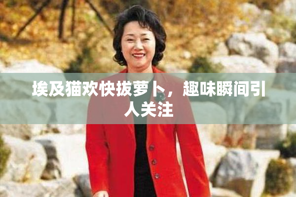 埃及猫欢快拔萝卜，趣味瞬间引人关注