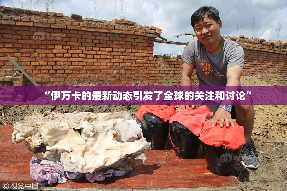 “伊万卡的最新动态引发了全球的关注和讨论”