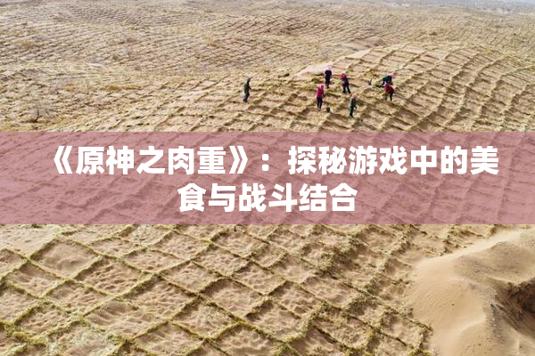 《原神之肉重》：探秘游戏中的美食与战斗结合