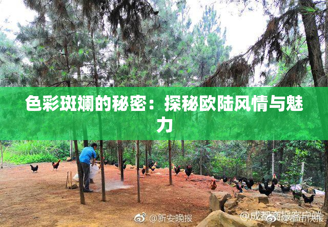色彩斑斓的秘密：探秘欧陆风情与魅力