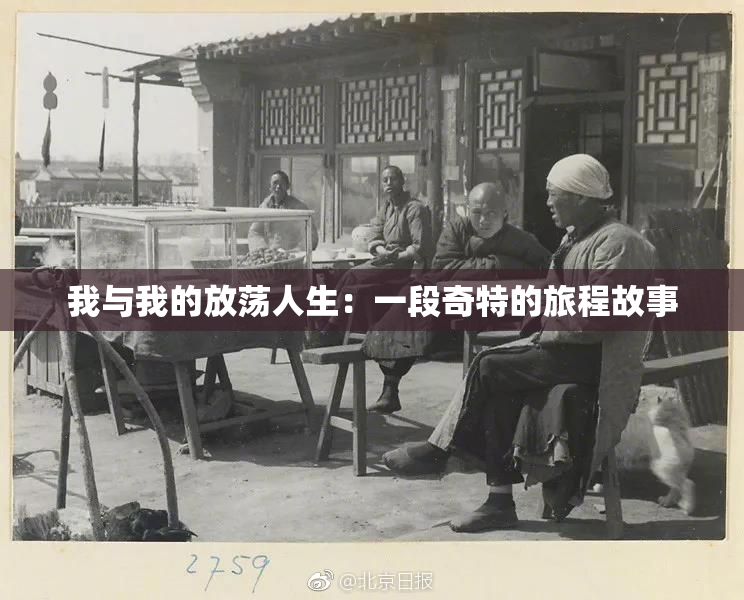 我与我的放荡人生：一段奇特的旅程故事