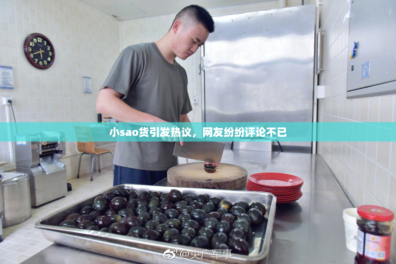小sao货引发热议，网友纷纷评论不已