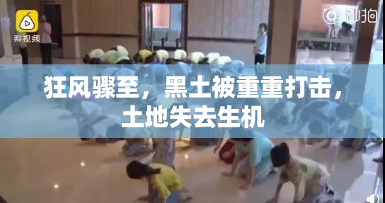 狂风骤至，黑土被重重打击，土地失去生机
