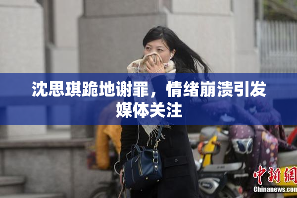 沈思琪跪地谢罪，情绪崩溃引发媒体关注