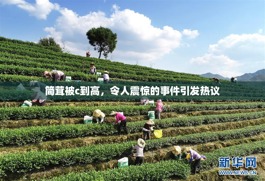简茸被c到高，令人震惊的事件引发热议