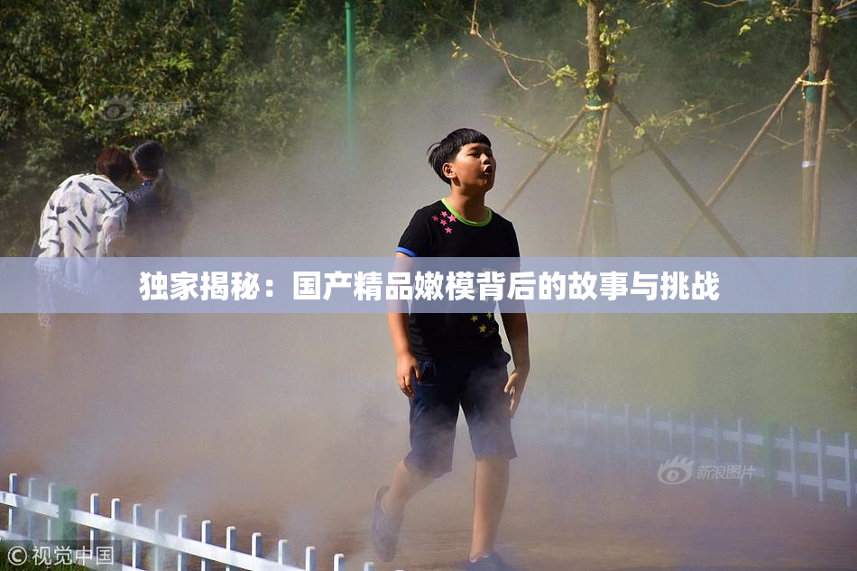 独家揭秘：国产精品嫩模背后的故事与挑战