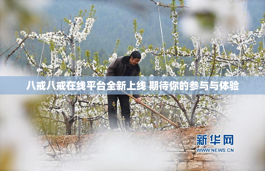 八戒八戒在线平台全新上线 期待你的参与与体验