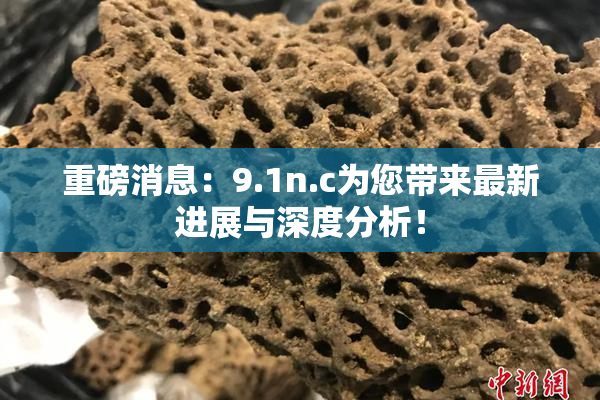 重磅消息：9.1n.c为您带来最新进展与深度分析！