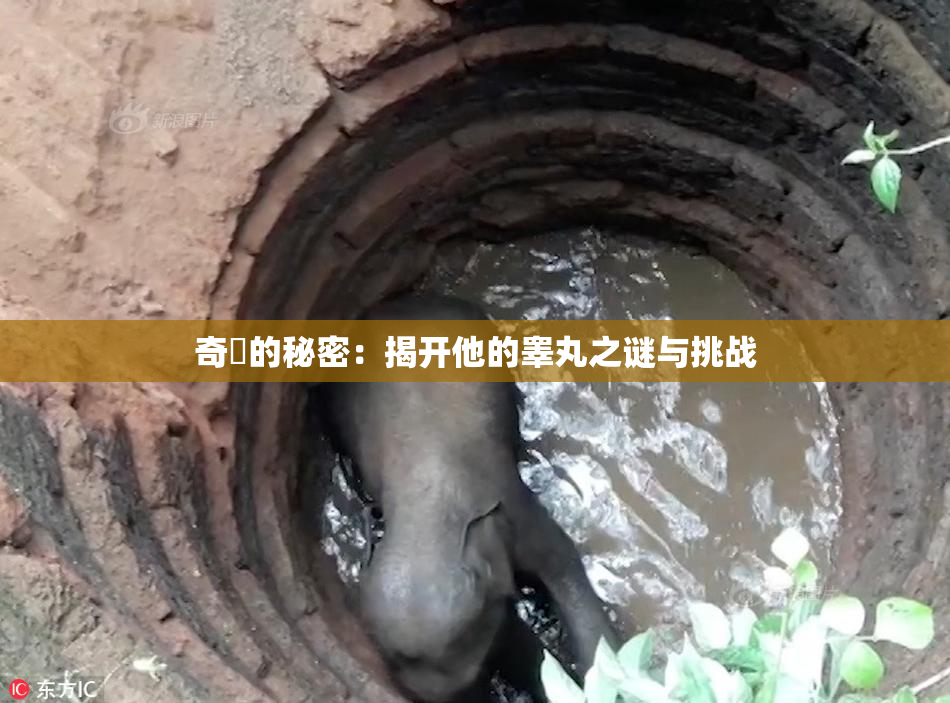 奇犽的秘密：揭开他的睾丸之谜与挑战
