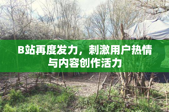 B站再度发力，刺激用户热情与内容创作活力
