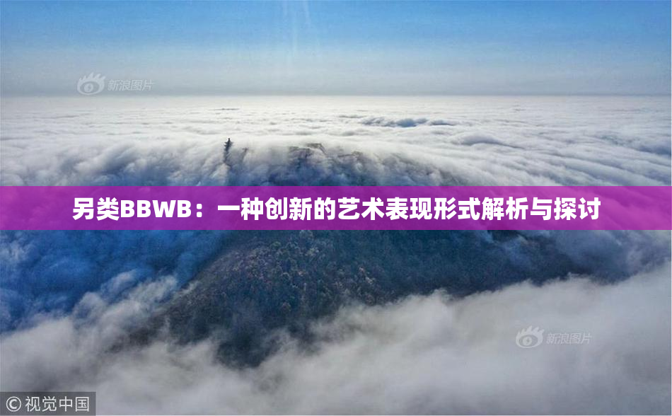 另类BBWB：一种创新的艺术表现形式解析与探讨