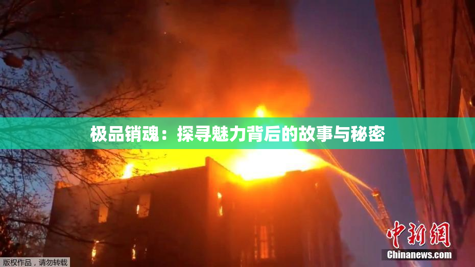 极品销魂：探寻魅力背后的故事与秘密
