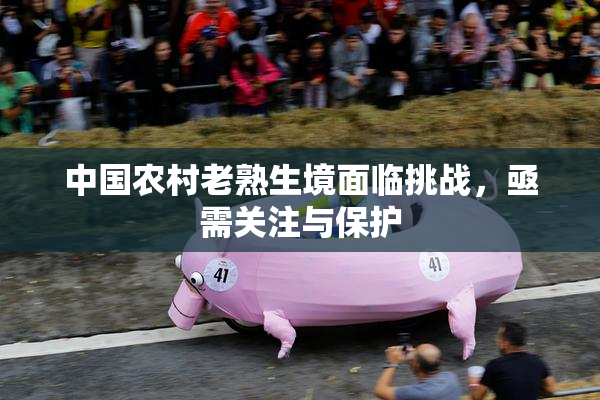 中国农村老熟生境面临挑战，亟需关注与保护