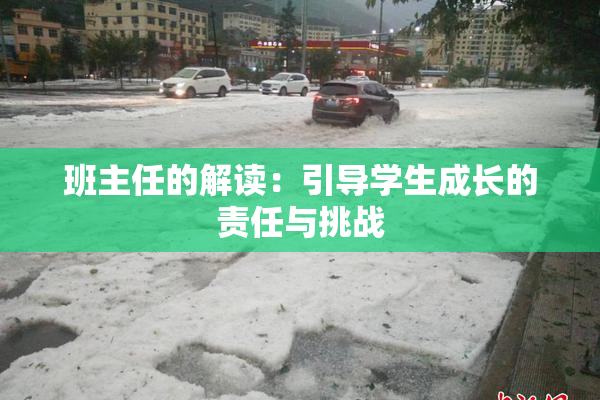 班主任的解读：引导学生成长的责任与挑战