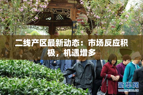 二线产区最新动态：市场反应积极，机遇增多