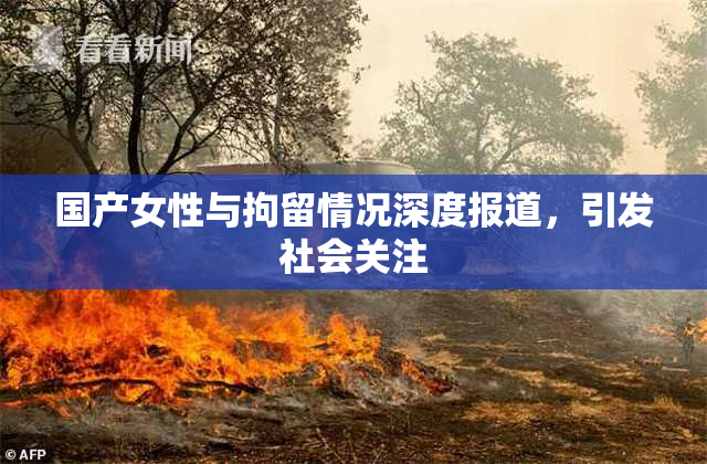 国产女性与拘留情况深度报道，引发社会关注