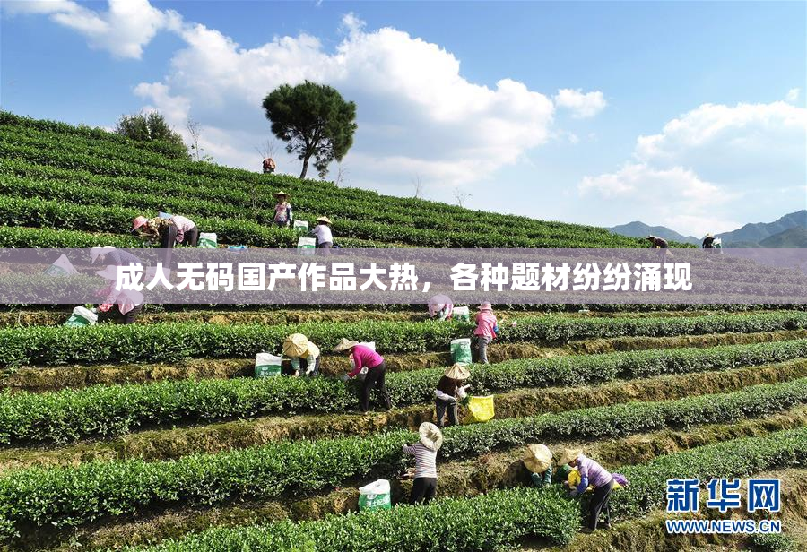 成人无码国产作品大热，各种题材纷纷涌现
