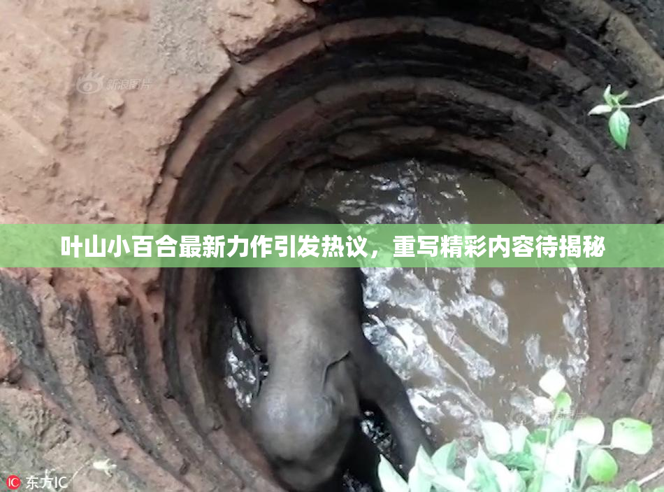 叶山小百合最新力作引发热议，重写精彩内容待揭秘