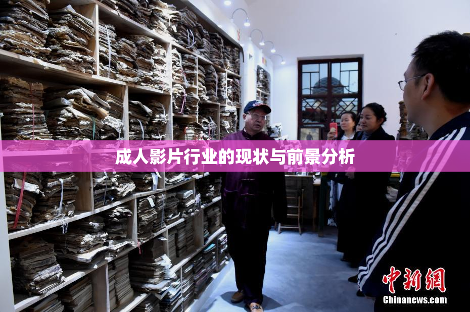 成人影片行业的现状与前景分析