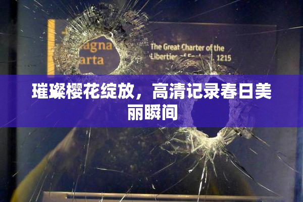璀璨樱花绽放，高清记录春日美丽瞬间