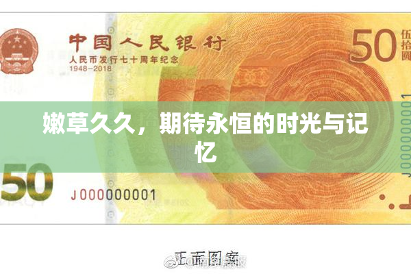 嫩草久久，期待永恒的时光与记忆