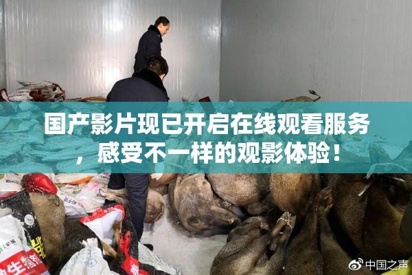 国产影片现已开启在线观看服务，感受不一样的观影体验！
