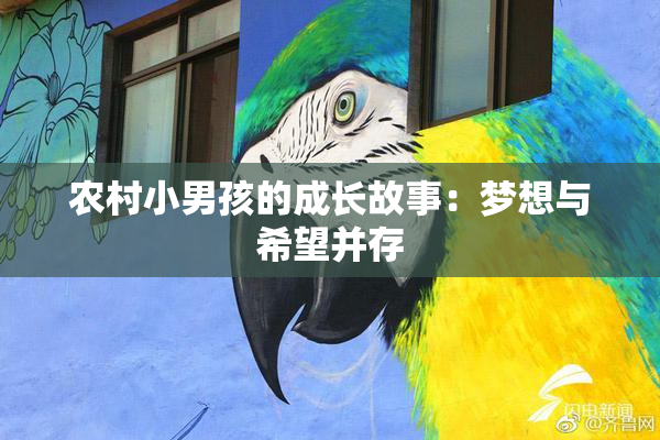 农村小男孩的成长故事：梦想与希望并存