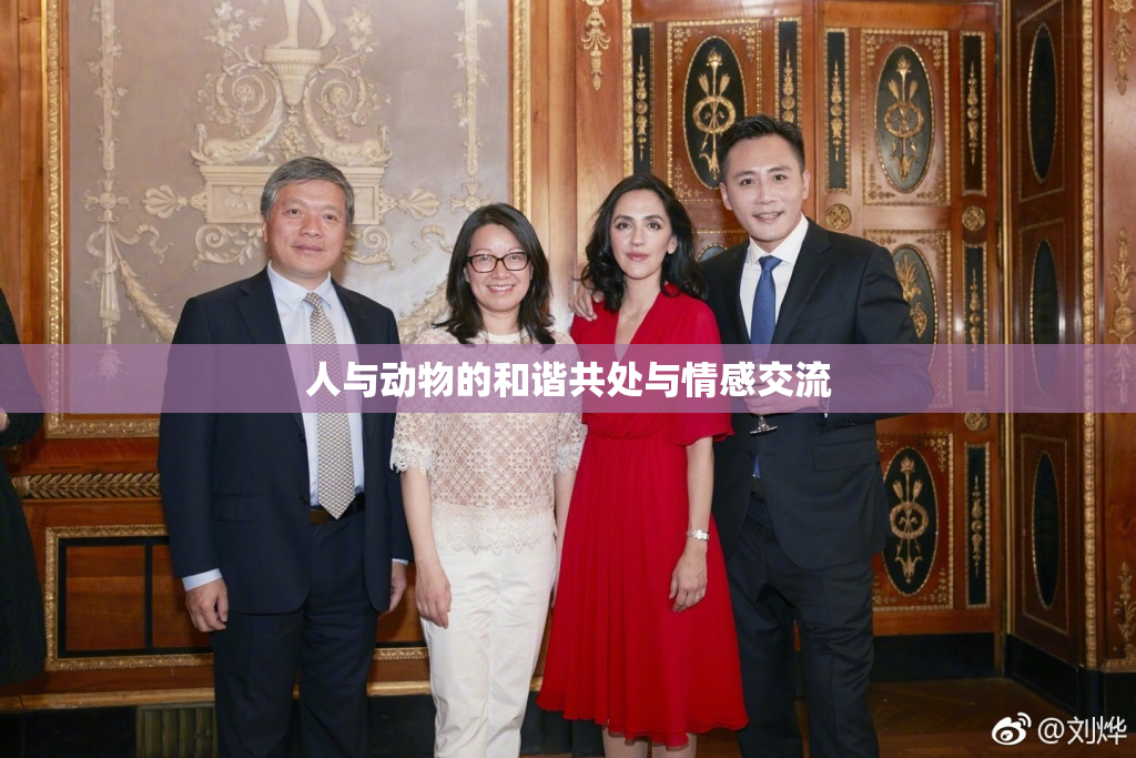 人与动物的和谐共处与情感交流