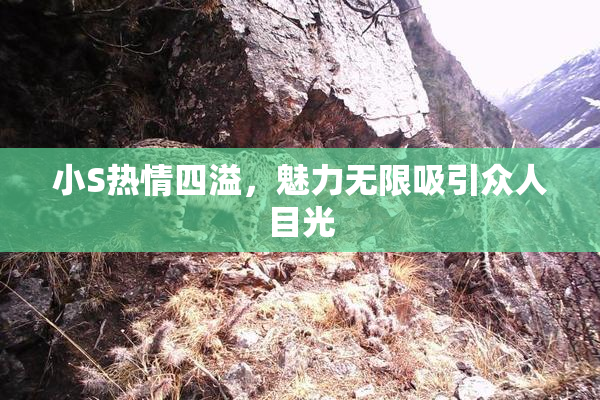 小S热情四溢，魅力无限吸引众人目光