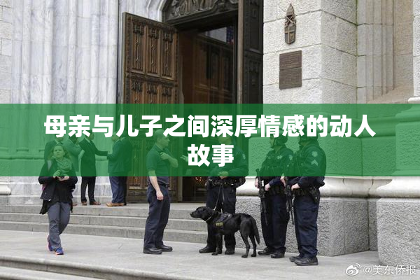 母亲与儿子之间深厚情感的动人故事