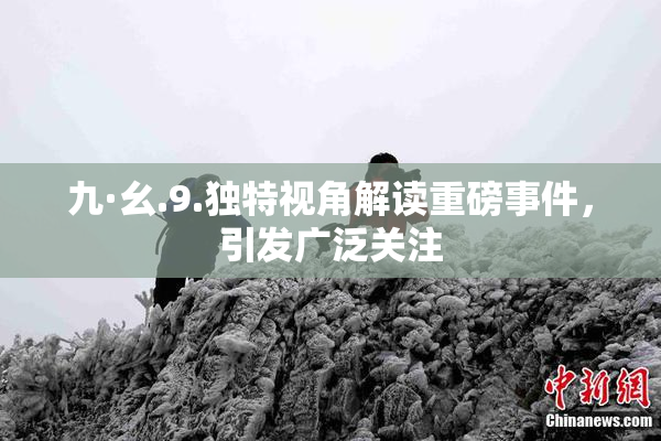 九·幺.9.独特视角解读重磅事件，引发广泛关注