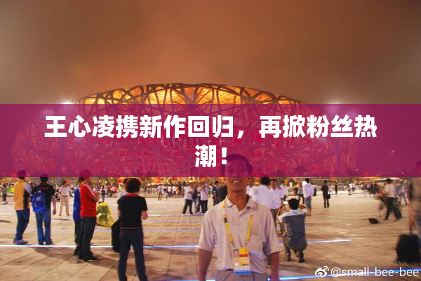 王心凌携新作回归，再掀粉丝热潮！