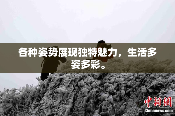 各种姿势展现独特魅力，生活多姿多彩。
