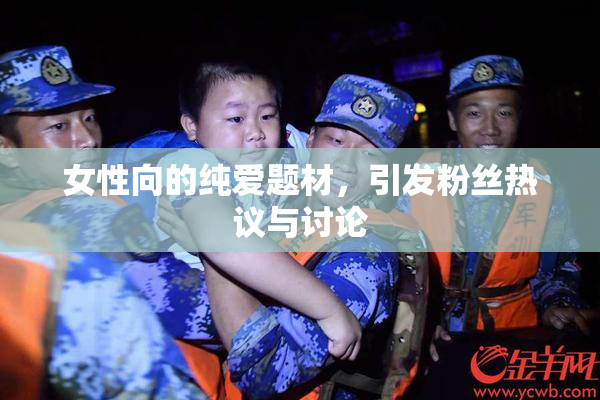 女性向的纯爱题材，引发粉丝热议与讨论