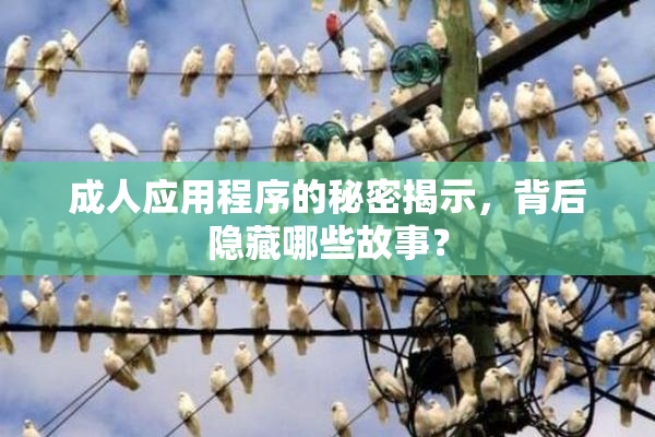 成人应用程序的秘密揭示，背后隐藏哪些故事？