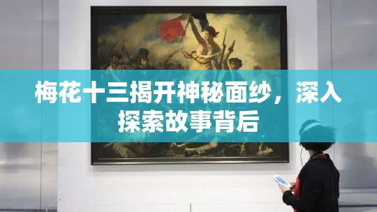 梅花十三揭开神秘面纱，深入探索故事背后