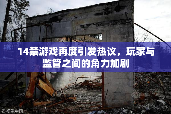 14禁游戏再度引发热议，玩家与监管之间的角力加剧