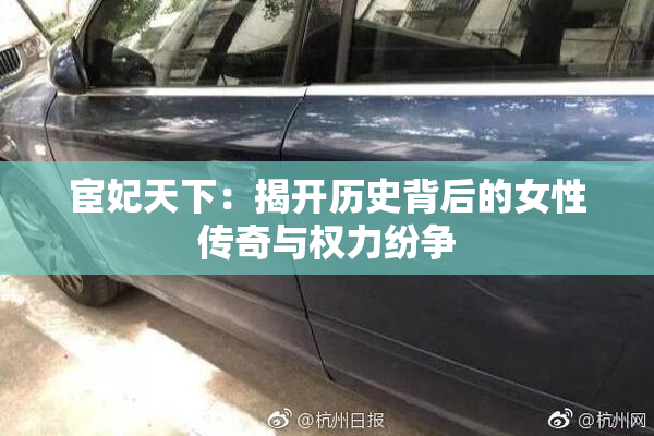 宦妃天下：揭开历史背后的女性传奇与权力纷争