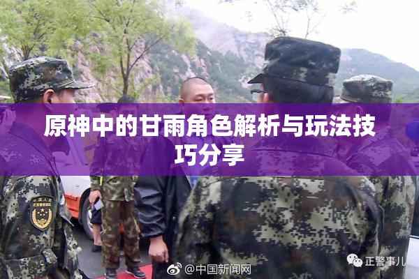 原神中的甘雨角色解析与玩法技巧分享