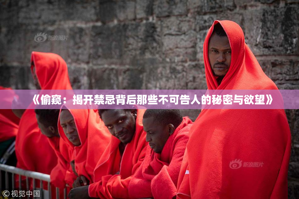 《偷窥：揭开禁忌背后那些不可告人的秘密与欲望》