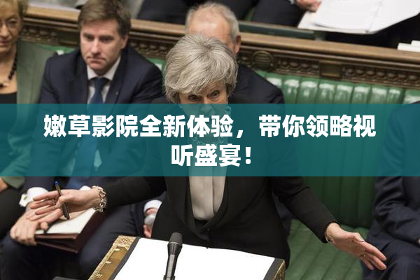 嫩草影院全新体验，带你领略视听盛宴！