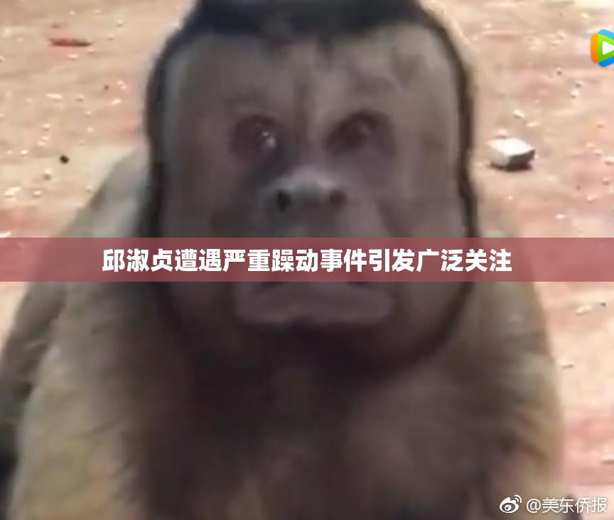 邱淑贞遭遇严重躁动事件引发广泛关注