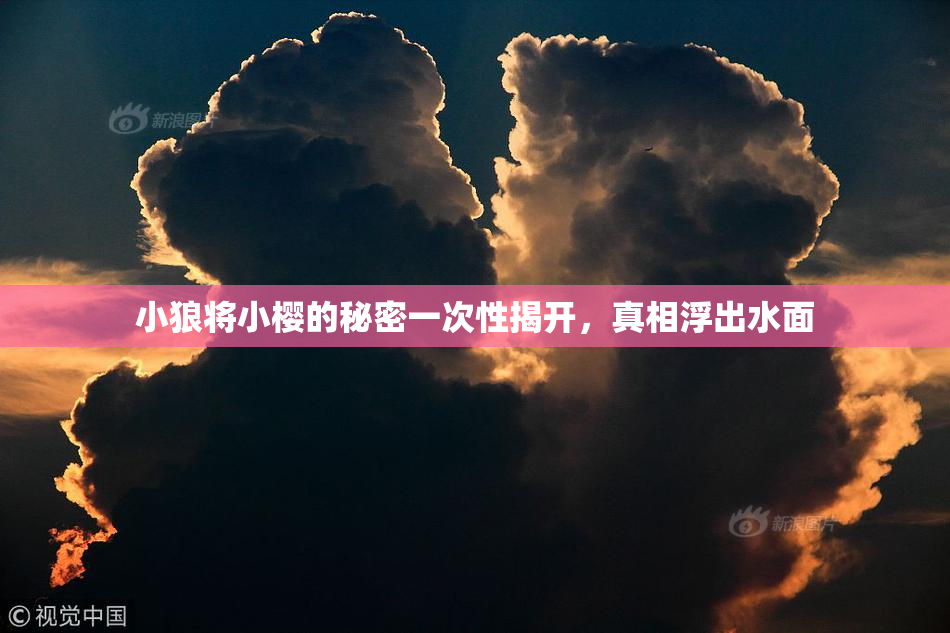 小狼将小樱的秘密一次性揭开，真相浮出水面