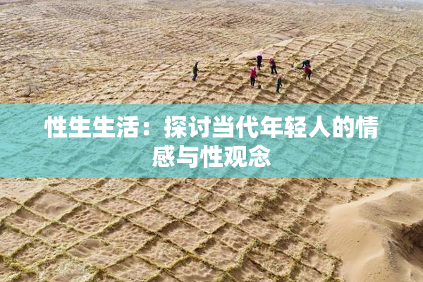 性生生活：探讨当代年轻人的情感与性观念