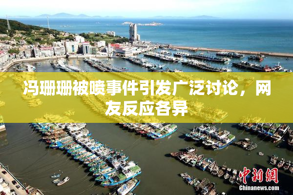 冯珊珊被喷事件引发广泛讨论，网友反应各异