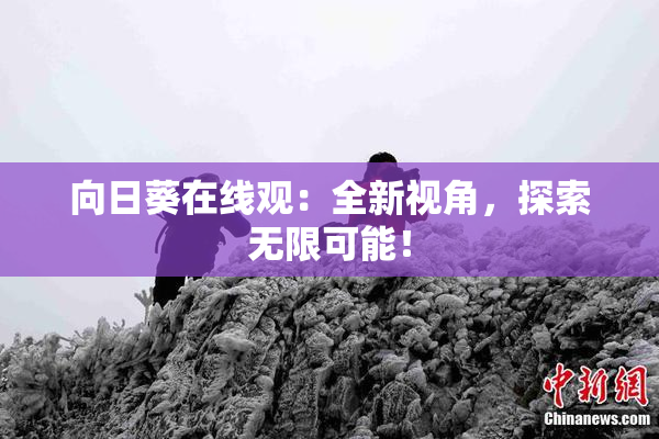 向日葵在线观：全新视角，探索无限可能！