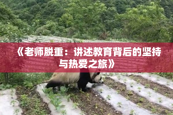 《老师脱重：讲述教育背后的坚持与热爱之旅》