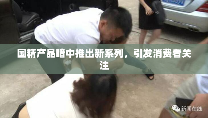 国精产品暗中推出新系列，引发消费者关注