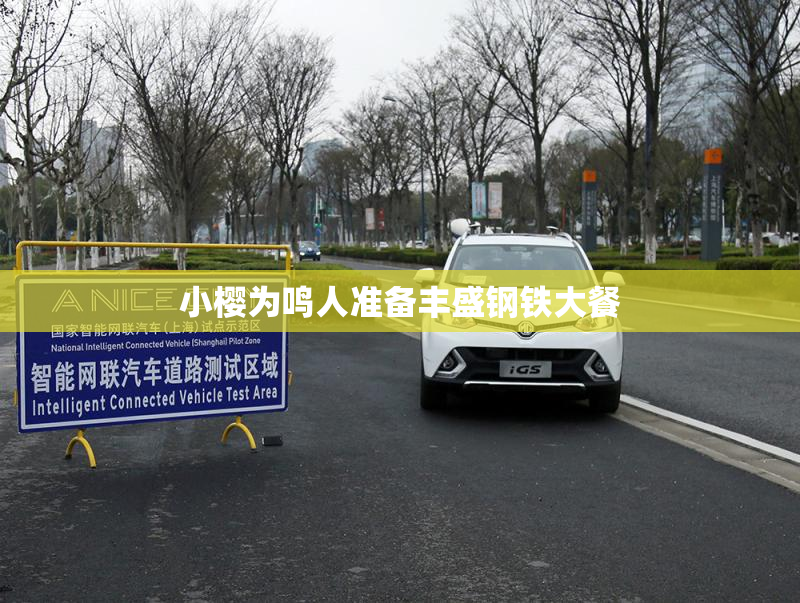 小樱为鸣人准备丰盛钢铁大餐